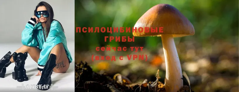 наркотики  кракен онион  Псилоцибиновые грибы Magic Shrooms  Ворсма 